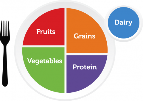 myplate-brand--labelled.png