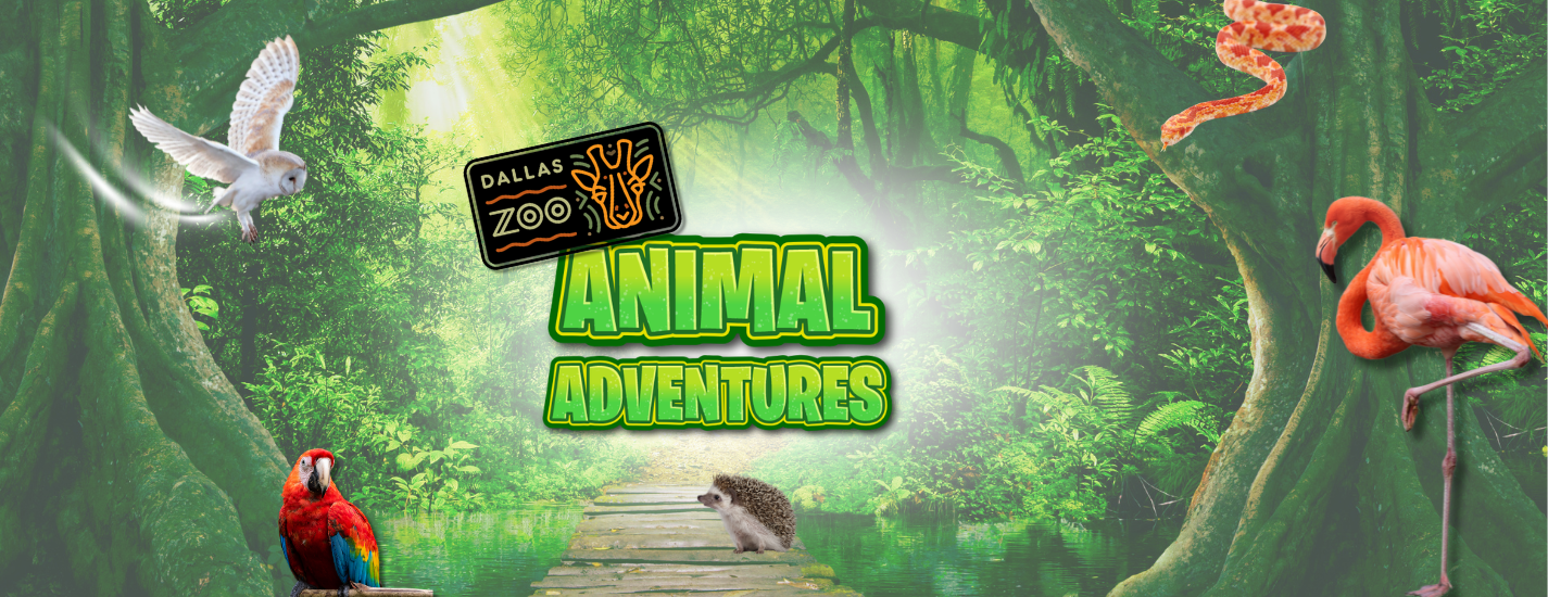 Dallas Zoo presents Animal Adventures