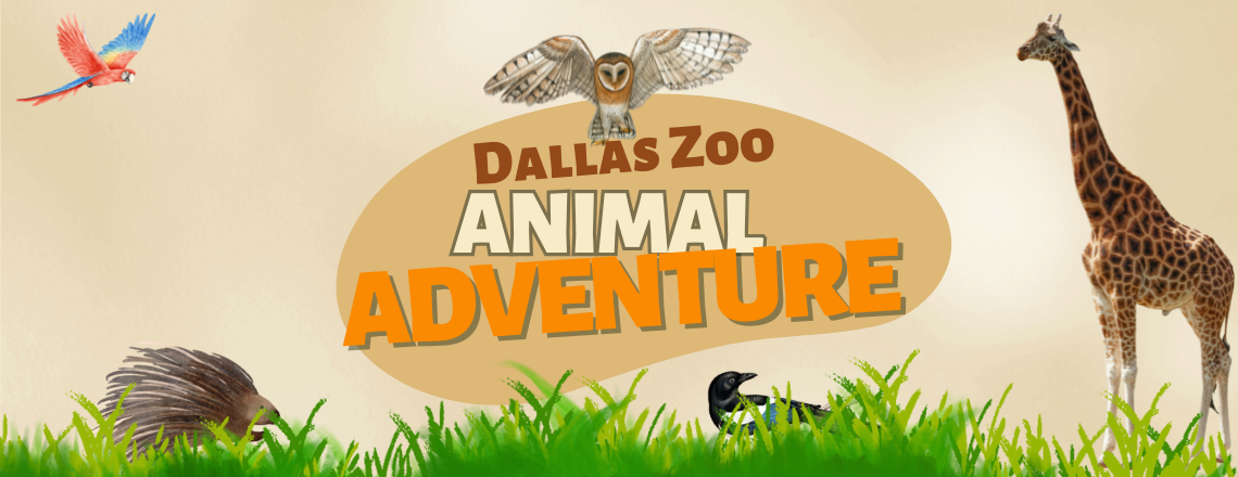 Dallas Zoo Animal Adventure