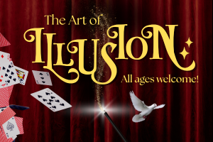 The Art of Illusion
