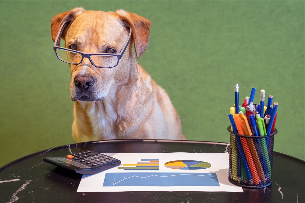 Dog sitting behind a desk wearing glasses. There is a calculator, a paper with various charts on it, and a cup of pens on the desk.