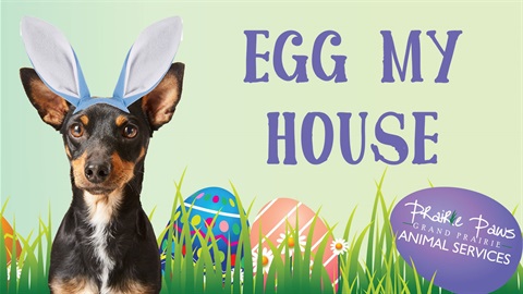 Graphic of a dog with bunny ears in front of some grass with Easter eggs. Text on the graphic reads 