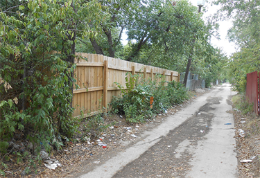 alley weeds 3 Alleys/Easement Violation