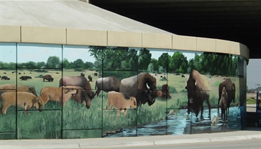 Belt Line Mural - The eye catching mural at the intersection of Interstate 30 and Belt Line Road spans 617 feet of concrete, depicting prairie scenes and wetlands from the frontier days. Tommy Weddle of Dallas started painting the mural in spring 2003 and, as intended, completed the project in time for the Breeders’ Cup.