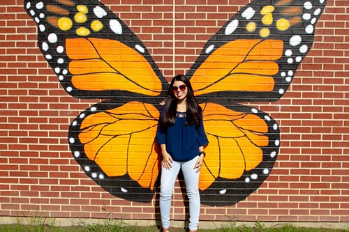 Monarch Butterfly Mural in Grand Prairie