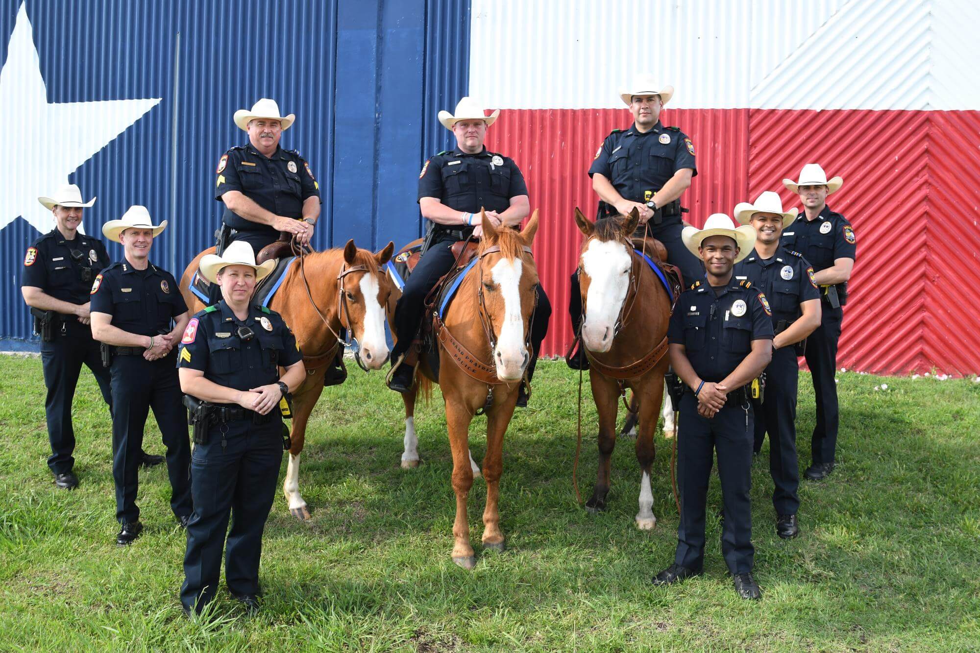 background-police-horses.jpg