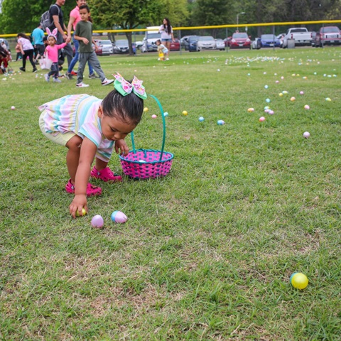 Easter Egg Hunt.jpg