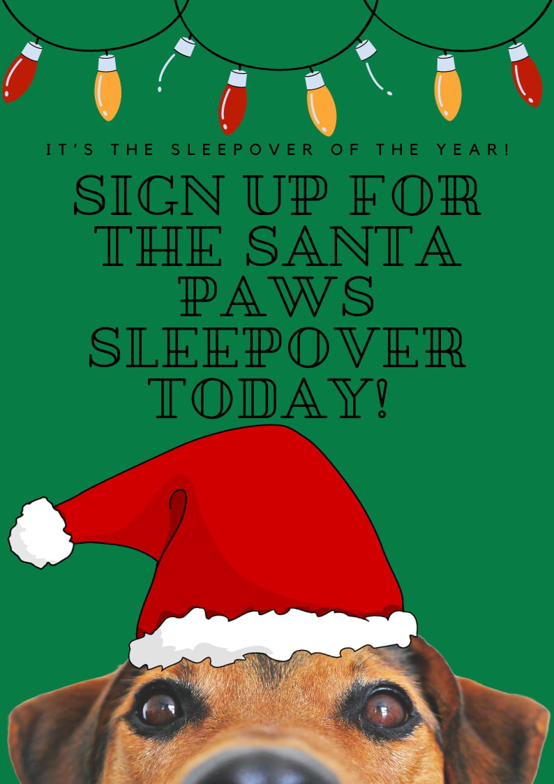Santa Paws sleepover flyer