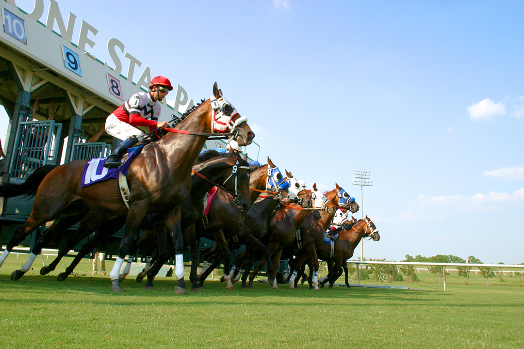 Lone Star Park