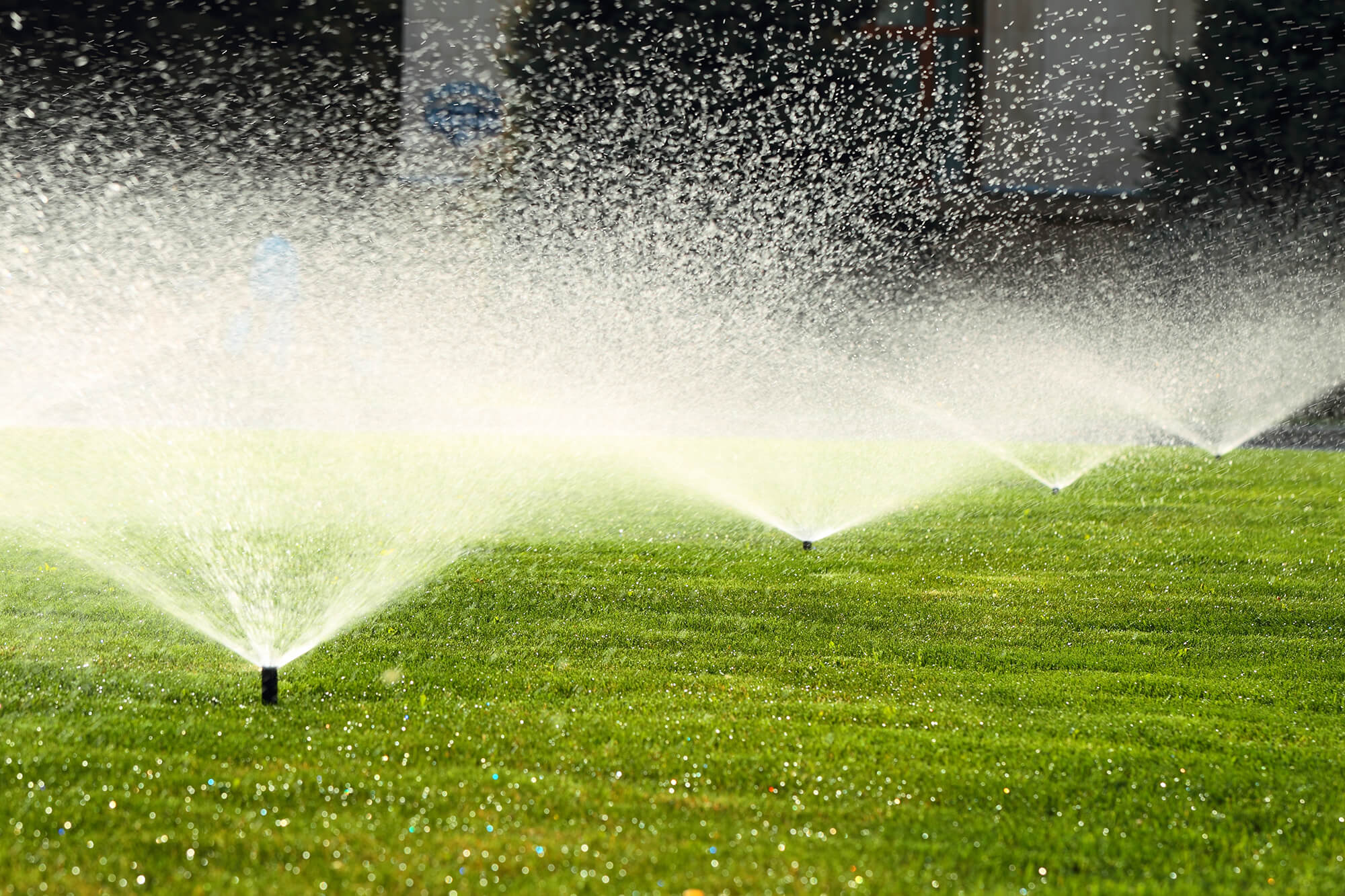 Sprinklers watering a large section of grass