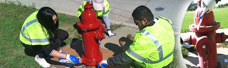 People painting a fire hydrant