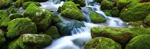 Stream flowing over rocks